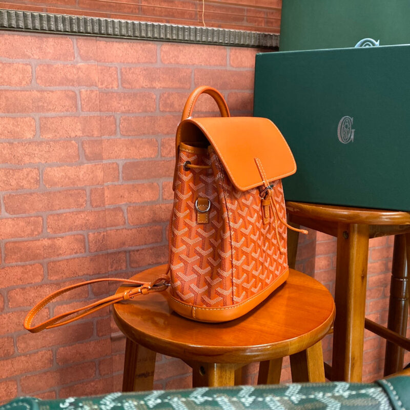 Mochila alpin GOYARD - Image 4