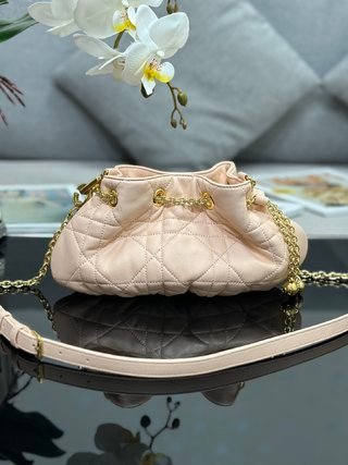 Bolso Ammi mediano DIOR