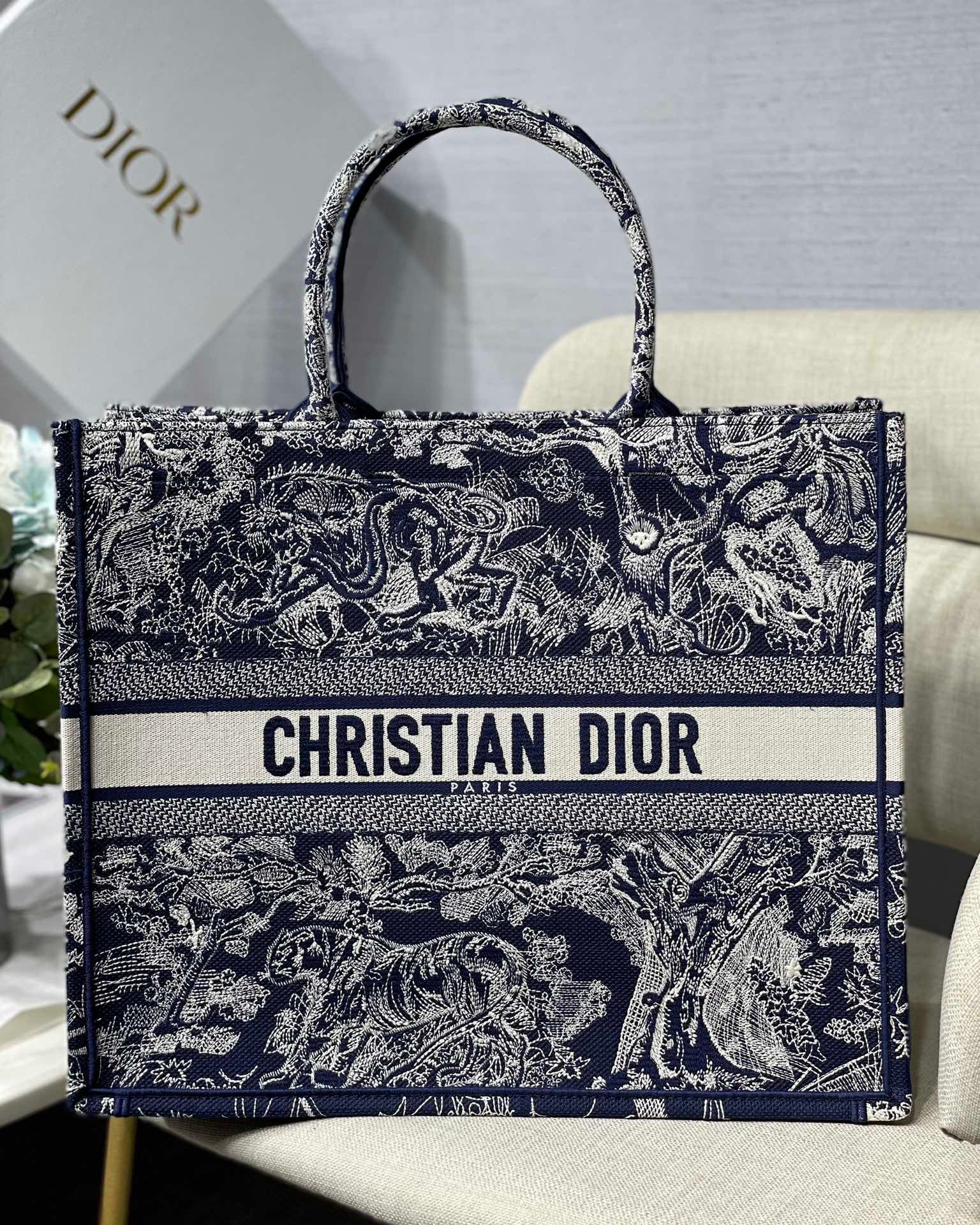 BOOK TOTE DIOR