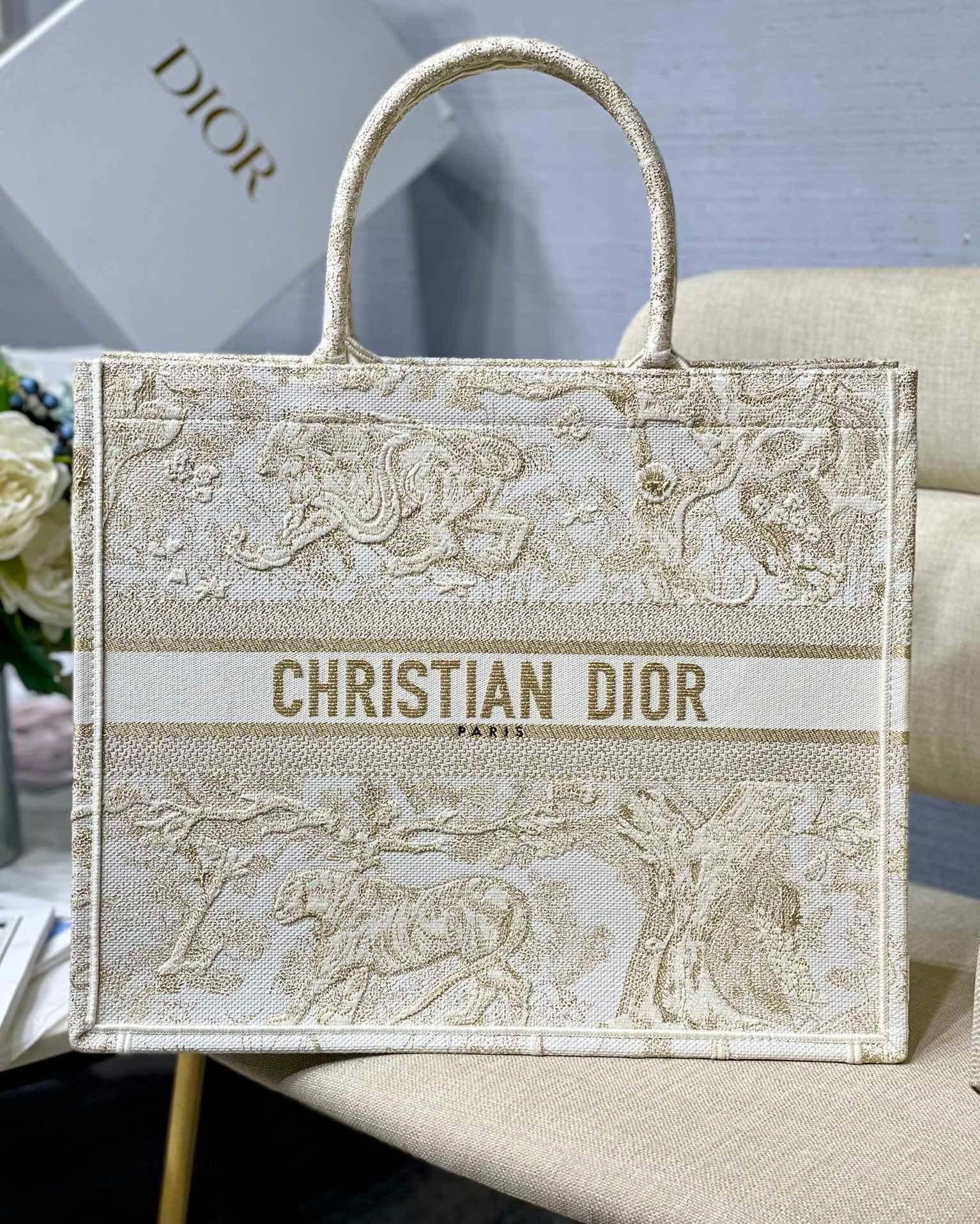 BOOK TOTE DIOR