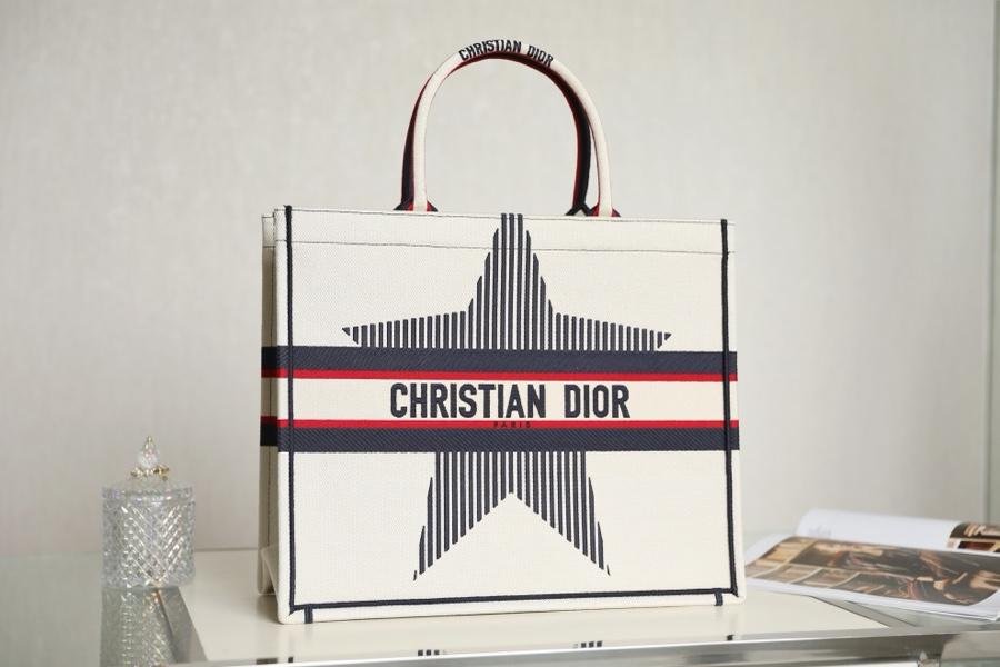 DIOR BOOK TOTE DIORALPS