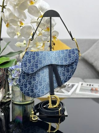 Bolso Saddle con bandolera DIOR