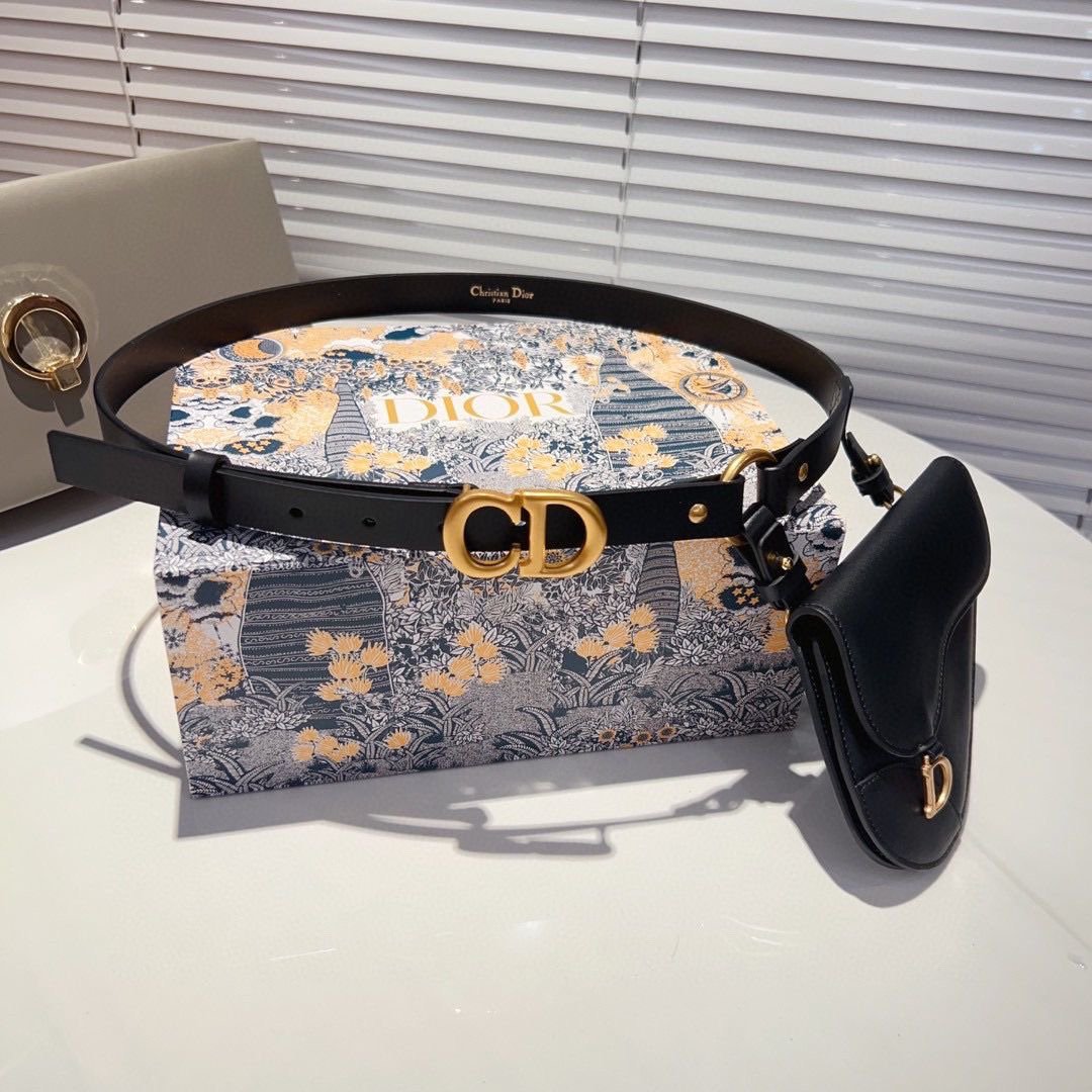 Cinturón con pochette extraíble Saddle Dior