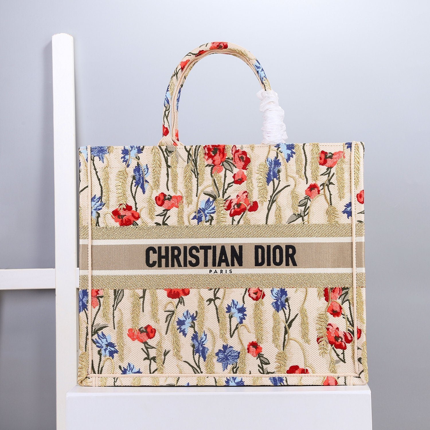 BOOK TOTE DIOR