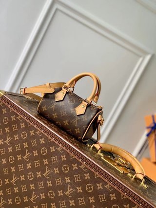 Bolso Nano Speedy LOUIS VUITTON