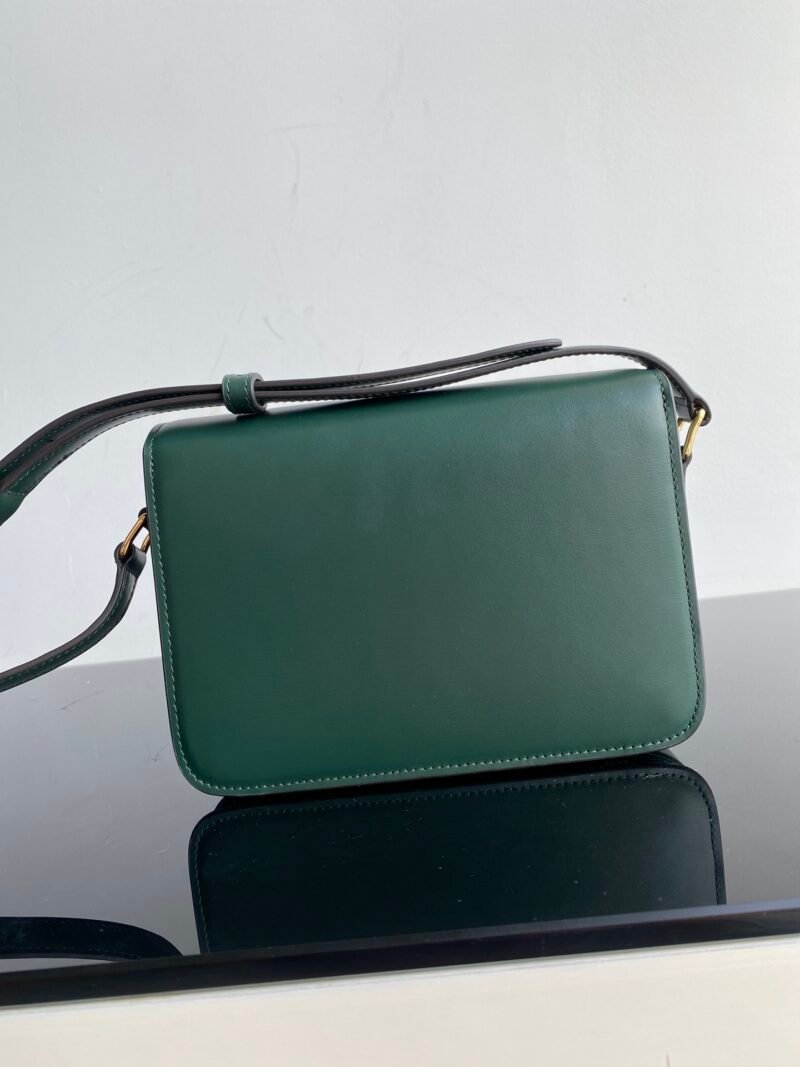 Bolso Triomphe CELINE - Imagen 2