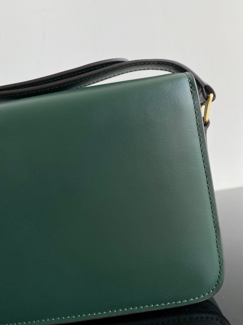 Bolso Triomphe CELINE - Imagen 3