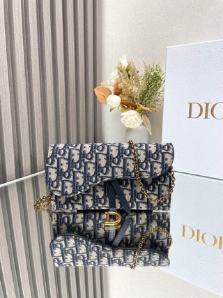 Cartera alargada Saddle con cadena DIOR