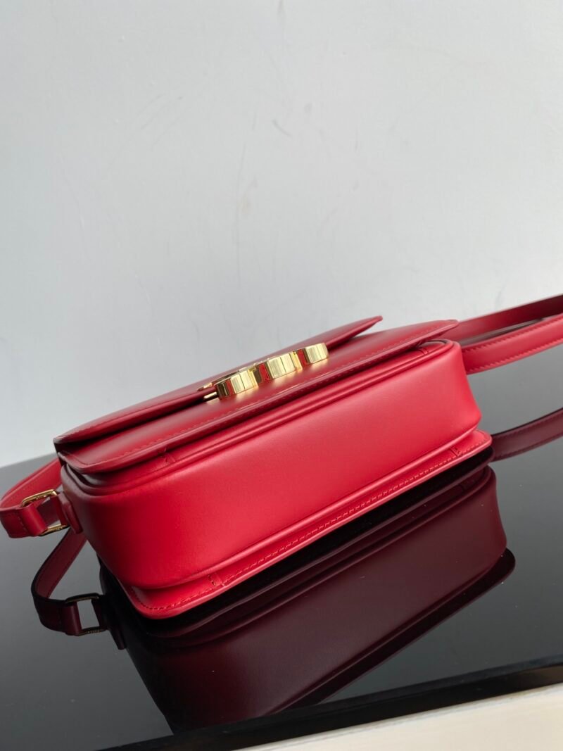 Bolso Triomphe CELINE - Imagen 6
