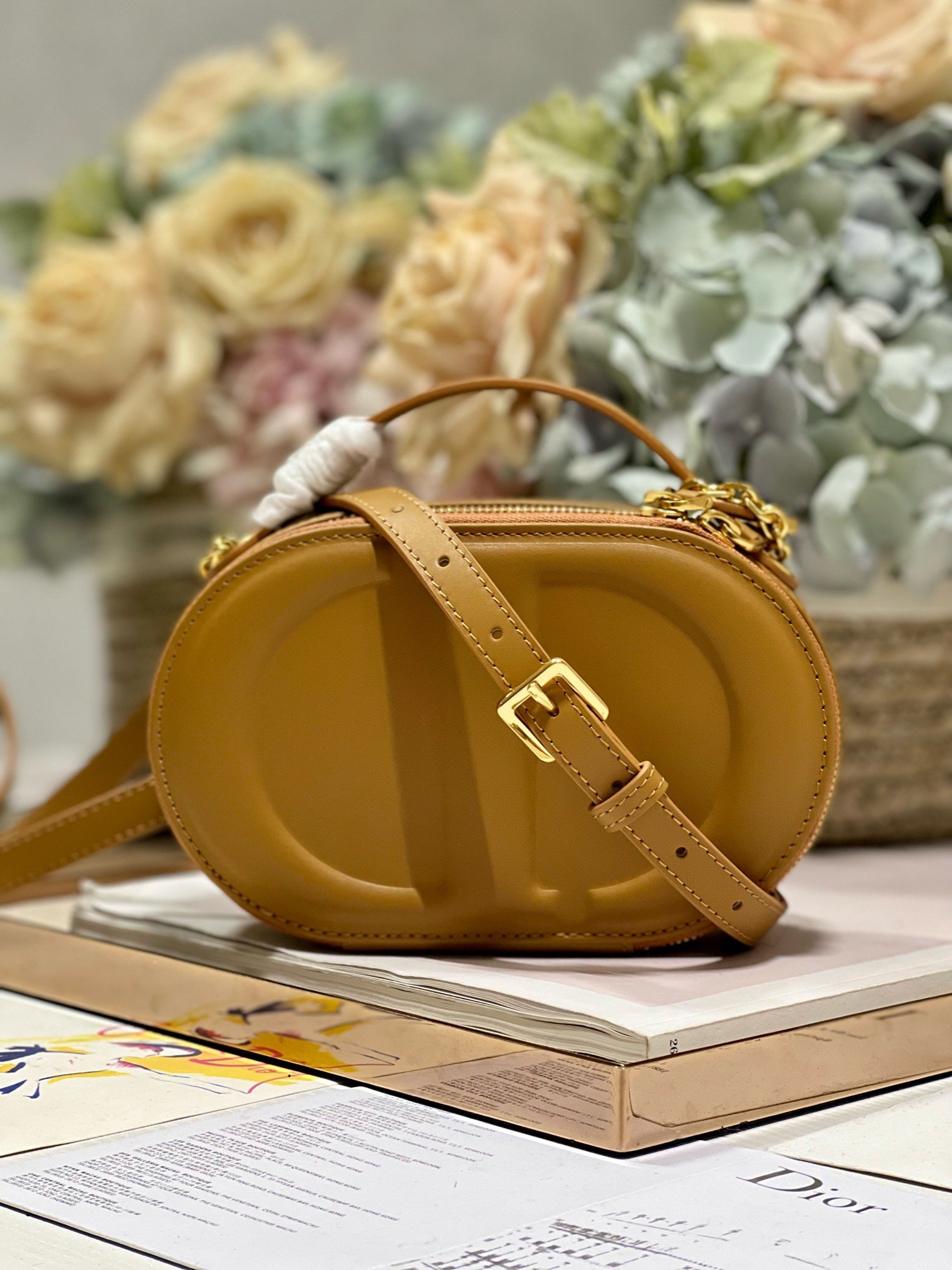 Bolso Camera ovalado CD Signature Dior