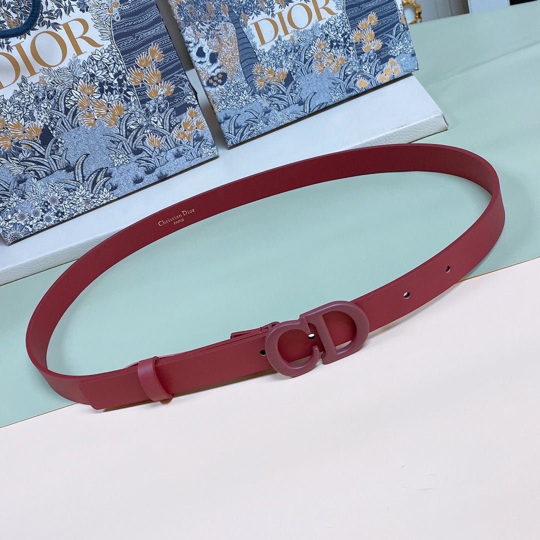 Cinturón Saddle DIOR