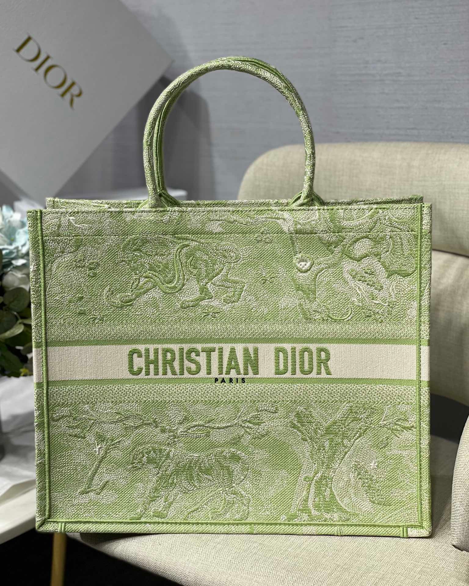 BOOK TOTE DIOR