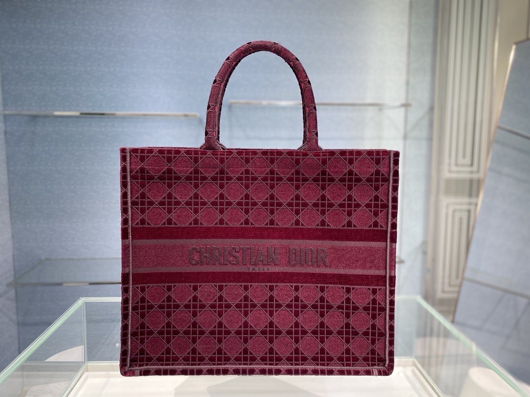 BOOK TOTE DIOR