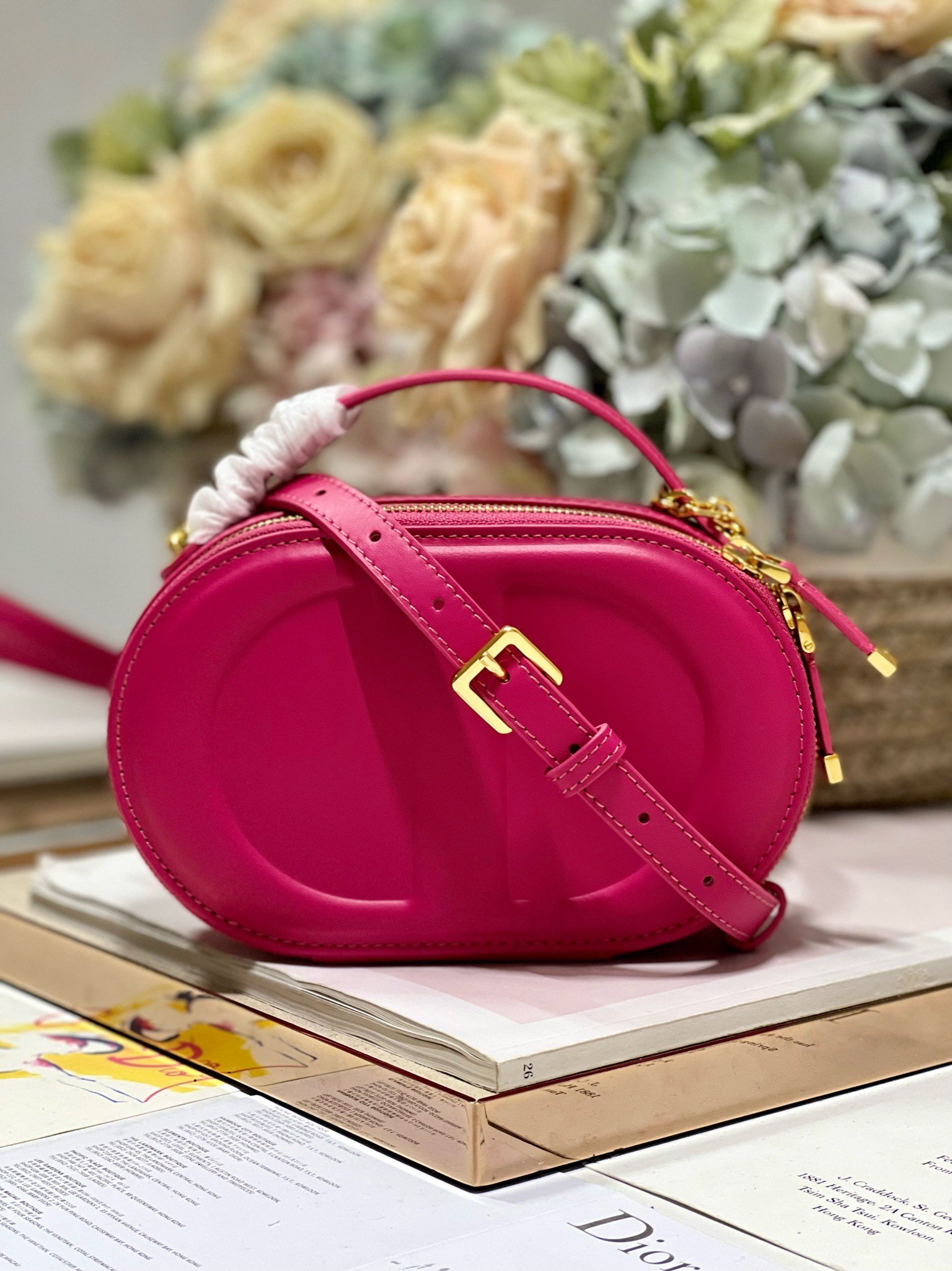 Bolso Camera ovalado CD Signature Dior