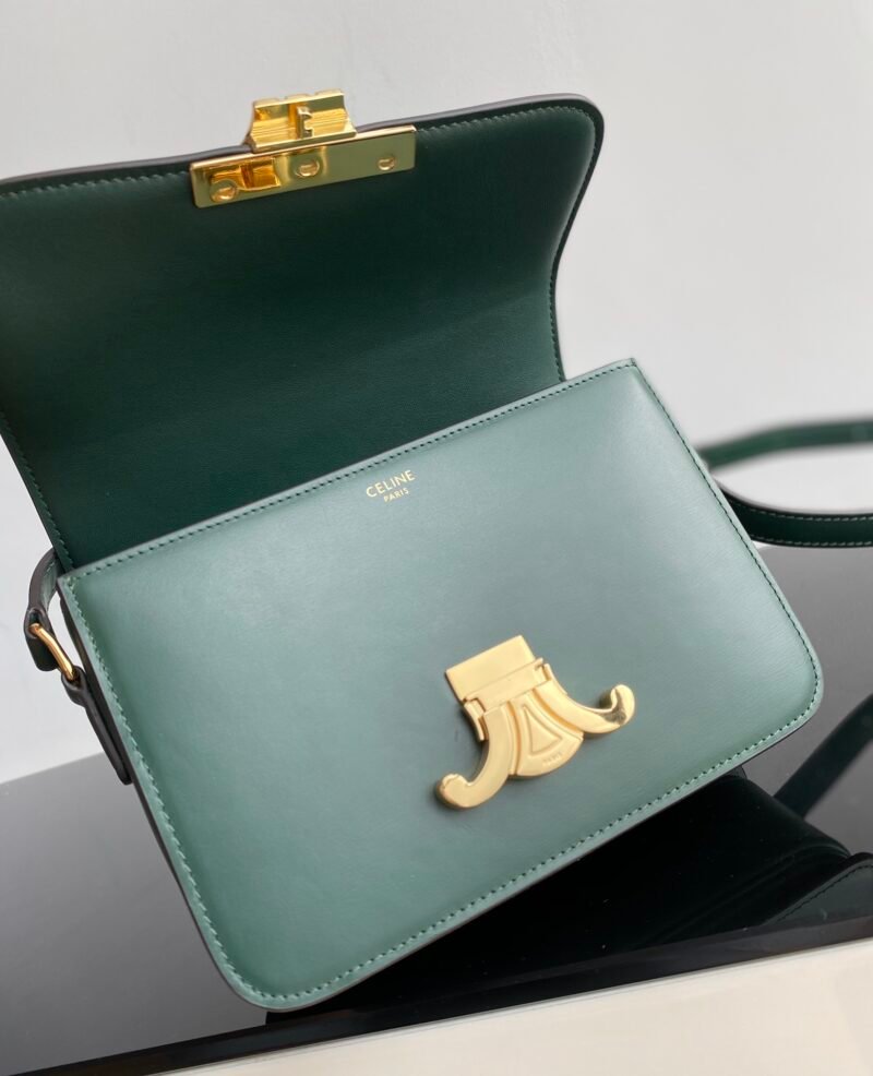 Bolso Triomphe CELINE - Imagen 8