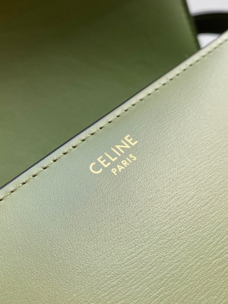Bolso Triomphe CELINE - Imagen 9