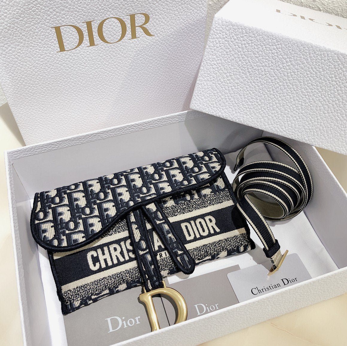 BOLSO DE MANO SADDLE PLANO DIOR