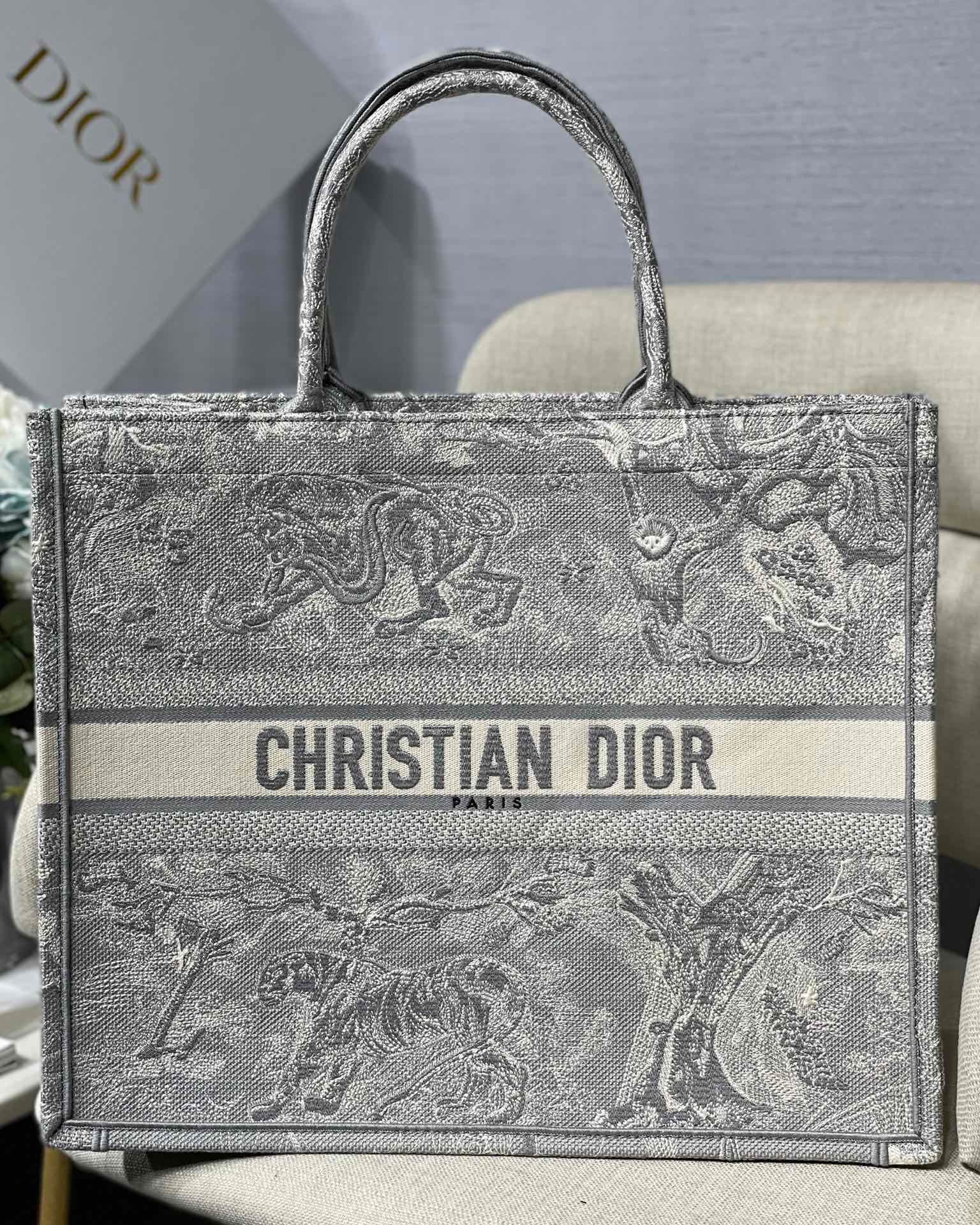 BOOK TOTE DIOR