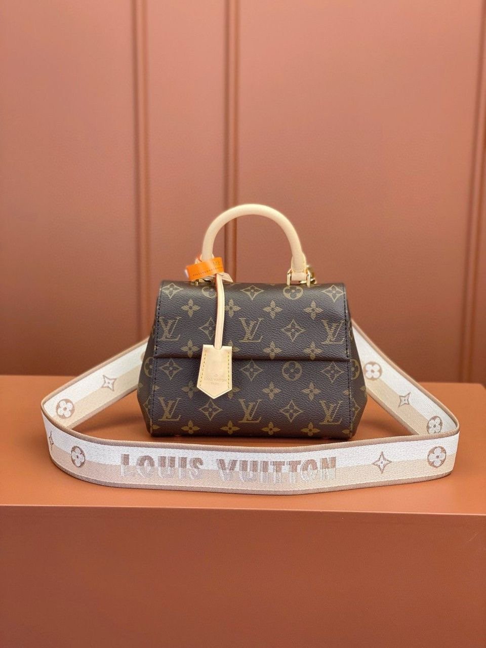 Bolso Cluny Mini Louis Vuitton