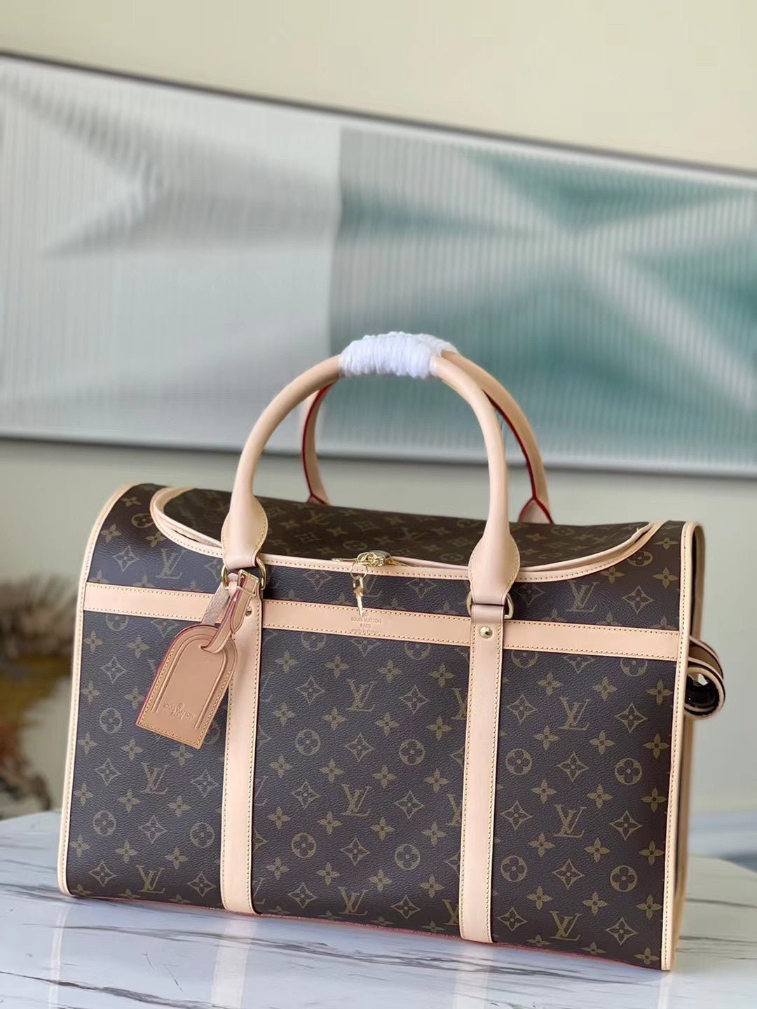 BOLSA PARA PERROS 45 Louis Vuiton