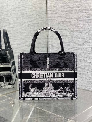 Bolso Book Tote pequeño DIOR