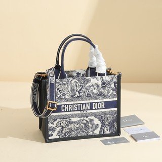 Bolso Book Tote pequeño DIOR