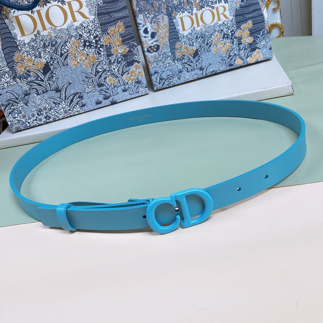 Cinturón Saddle DIOR