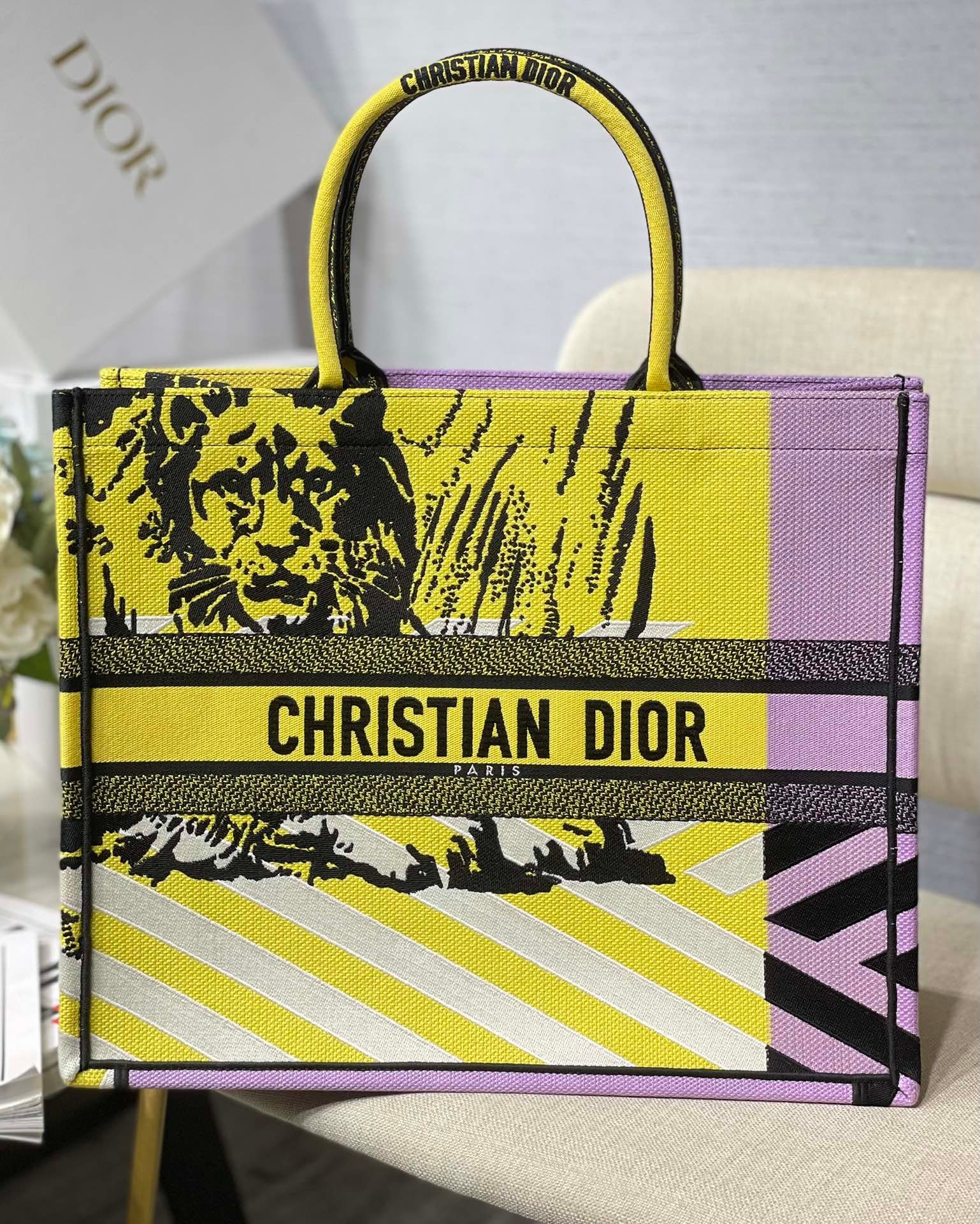 BOOK TOTE DIOR