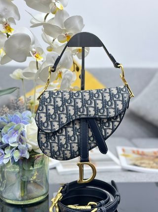Bolso Saddle con bandolera DIOR