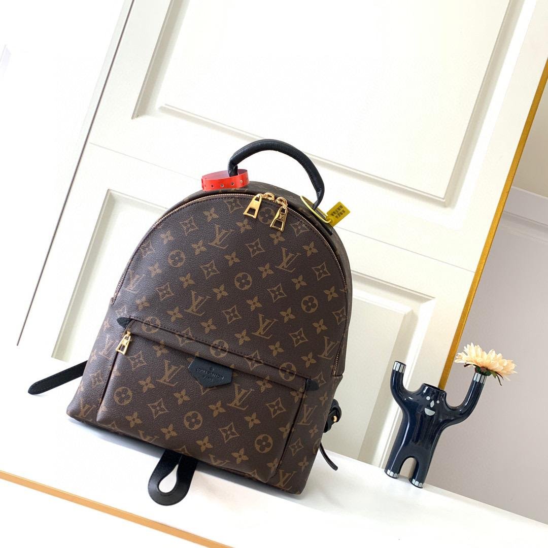 MOCHILA PALM SPRINGS MM Louis Vuitton