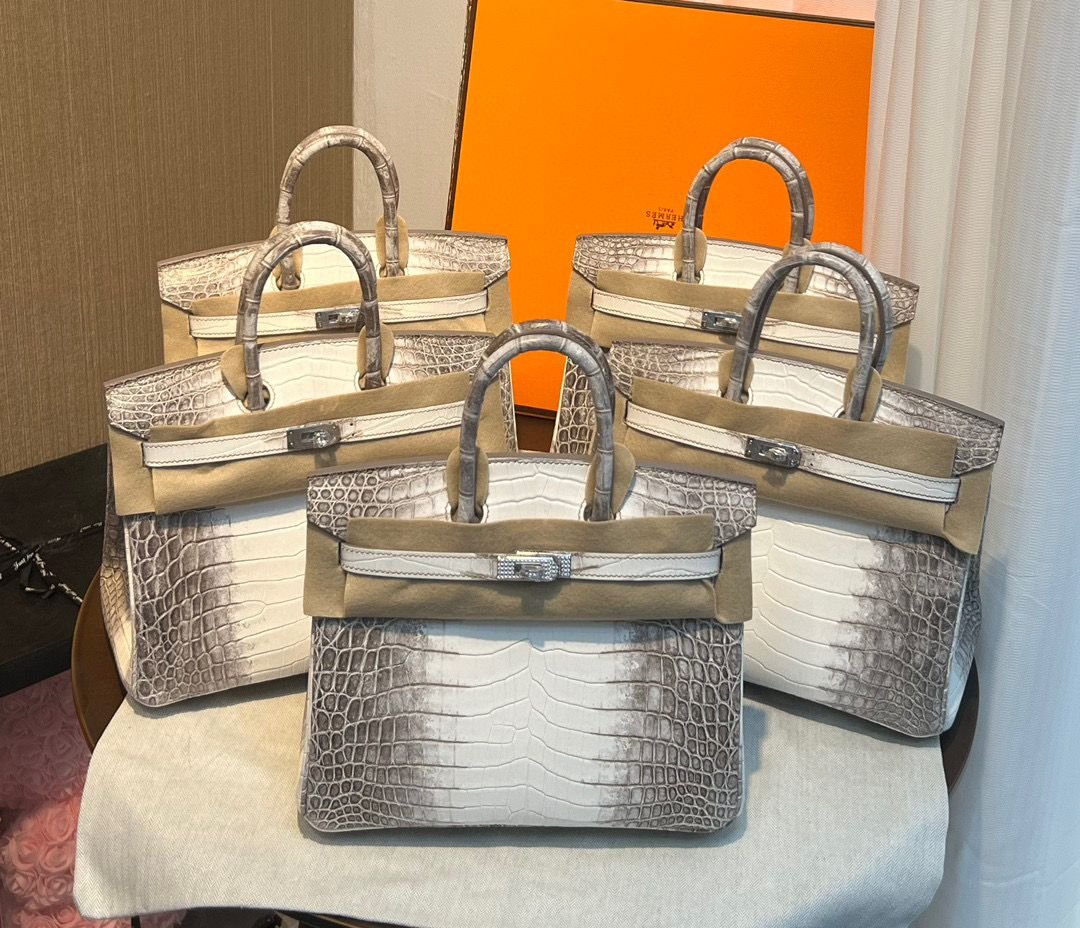 Bolso Himalaya Diamantes Birkin HERMES