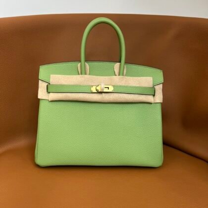 Bolso Birkin Togo 25 Hermes