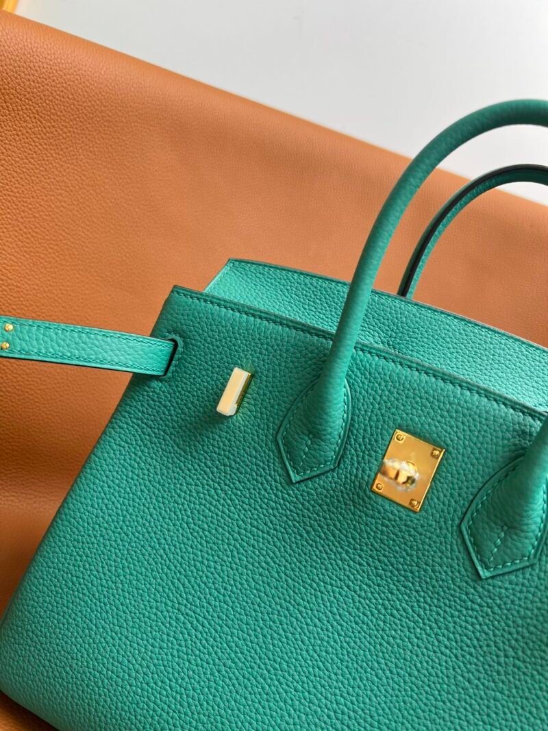 Bolso Birkin Togo 25 Hermes - Imagen 5