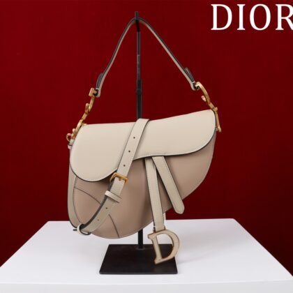 Bolso Saddle con bandolera Dior