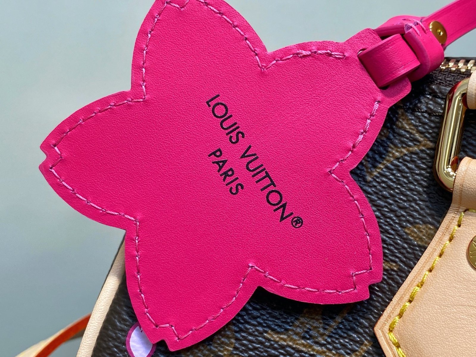 Bolso Speedy 25 con bandolera Louis Vuitton - Imagen 9
