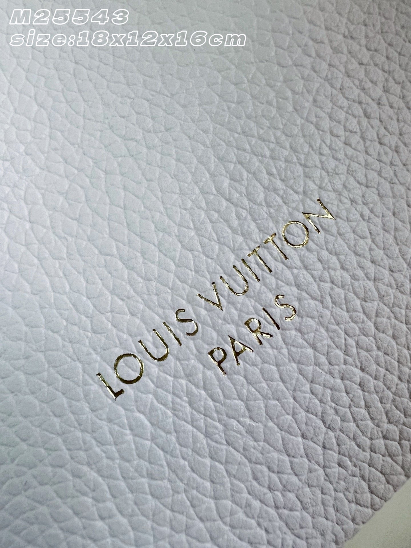 Bolso Low Key All In BB Louis Vuitton - Imagen 9