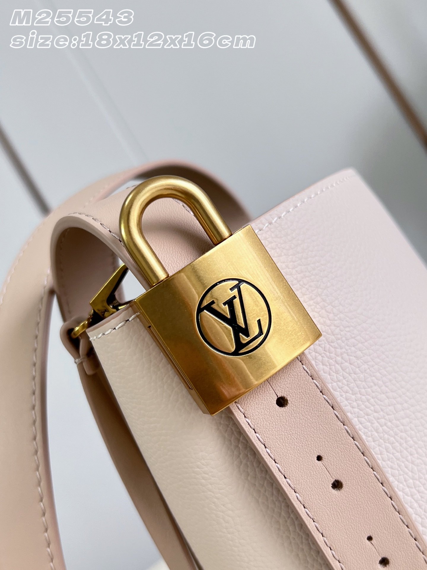 Bolso Low Key All In BB Louis Vuitton - Imagen 3