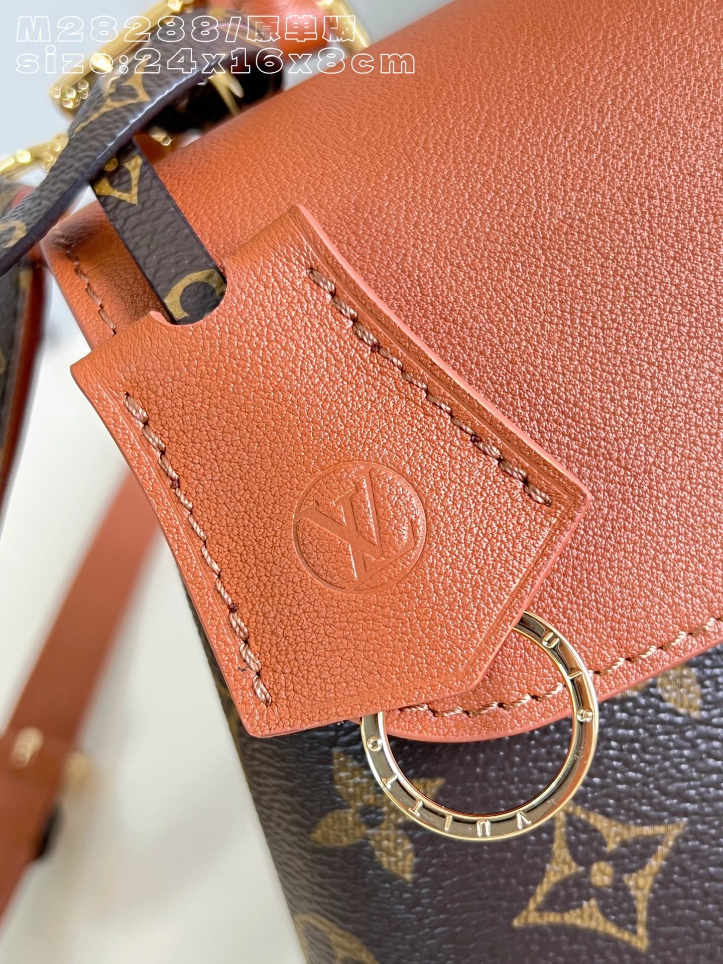 Bolso Madeleine BB Louis Vuitton - Imagen 5