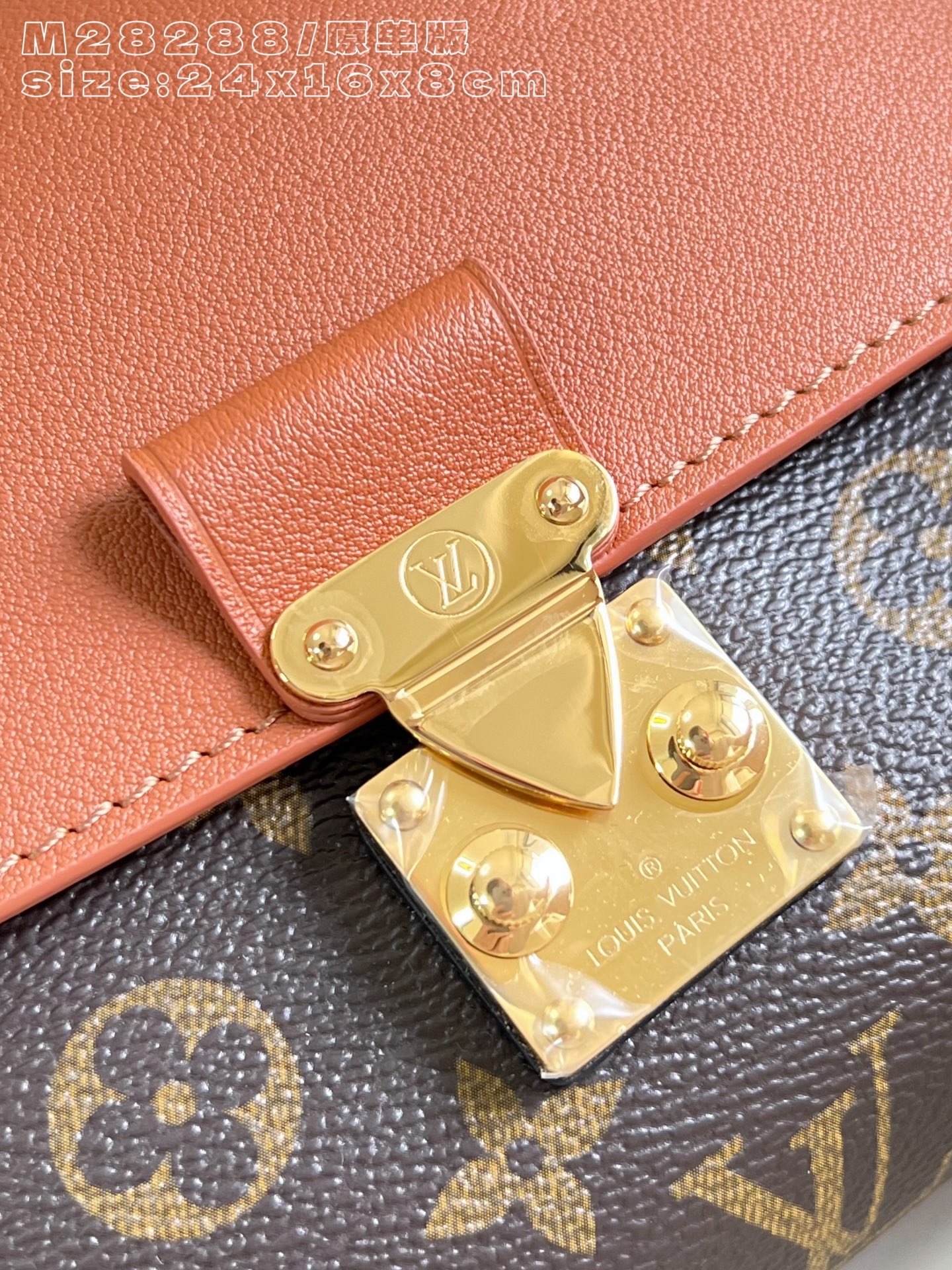 Bolso Madeleine BB Louis Vuitton - Imagen 6