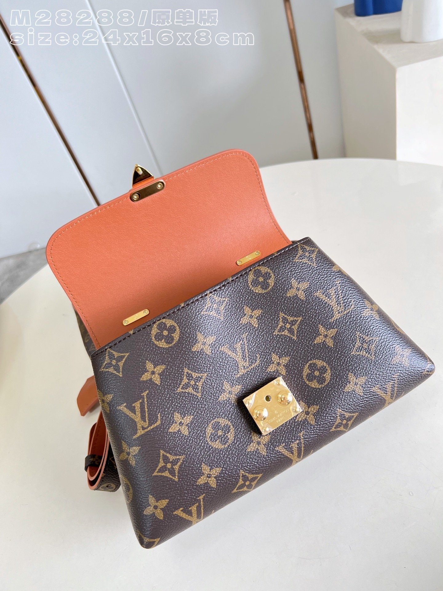 Bolso Madeleine BB Louis Vuitton - Imagen 7