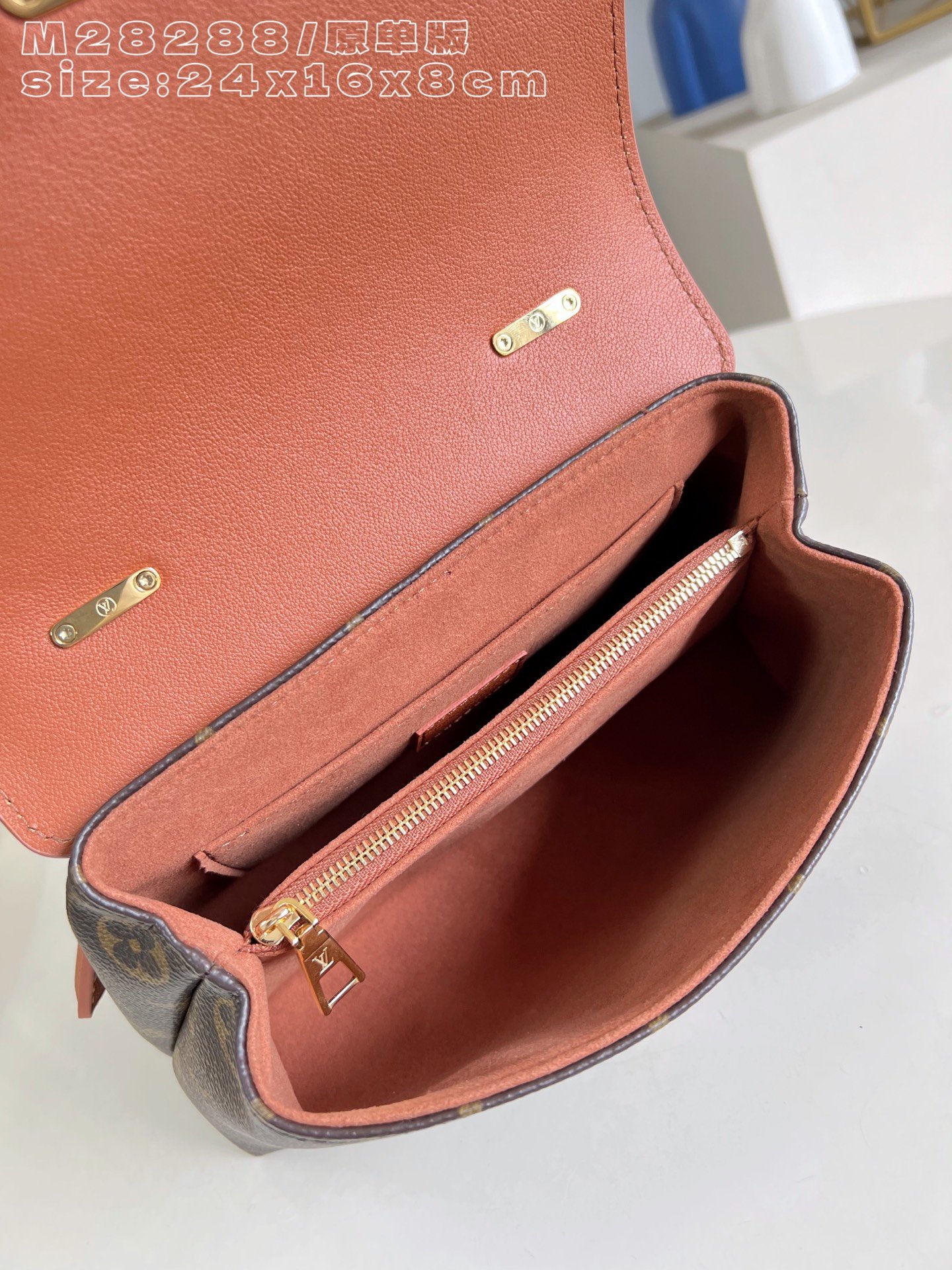 Bolso Madeleine BB Louis Vuitton - Imagen 8