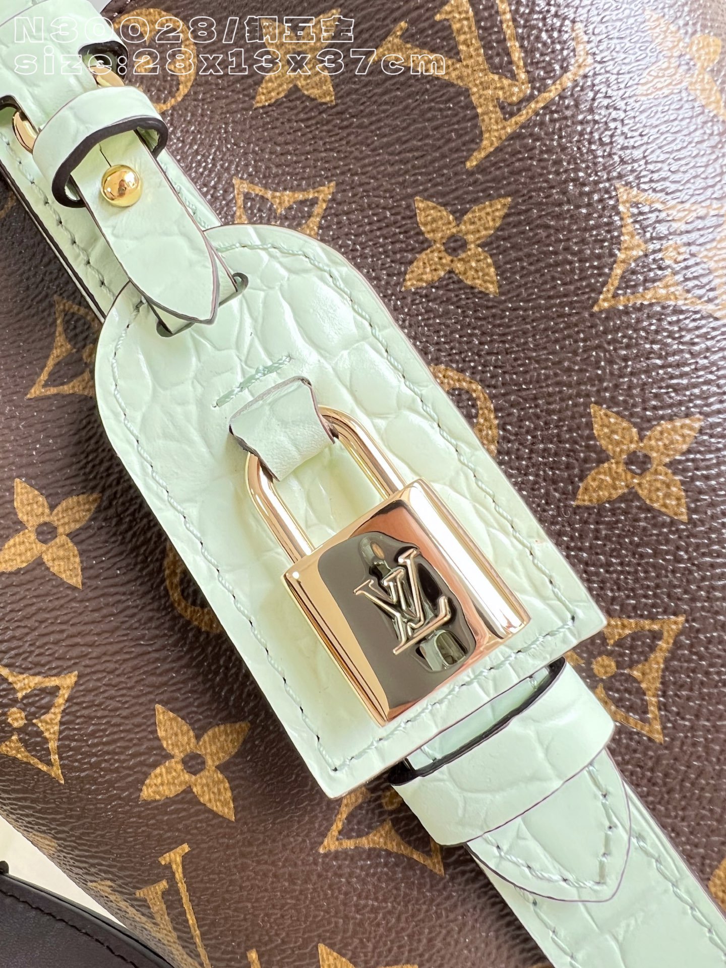 Bolso All In BB Louis Vuitton - Imagen 13