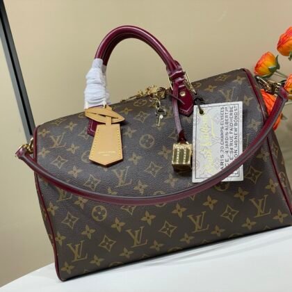 Bolso Speedy 30 Soft Celebration Louis Vuitton