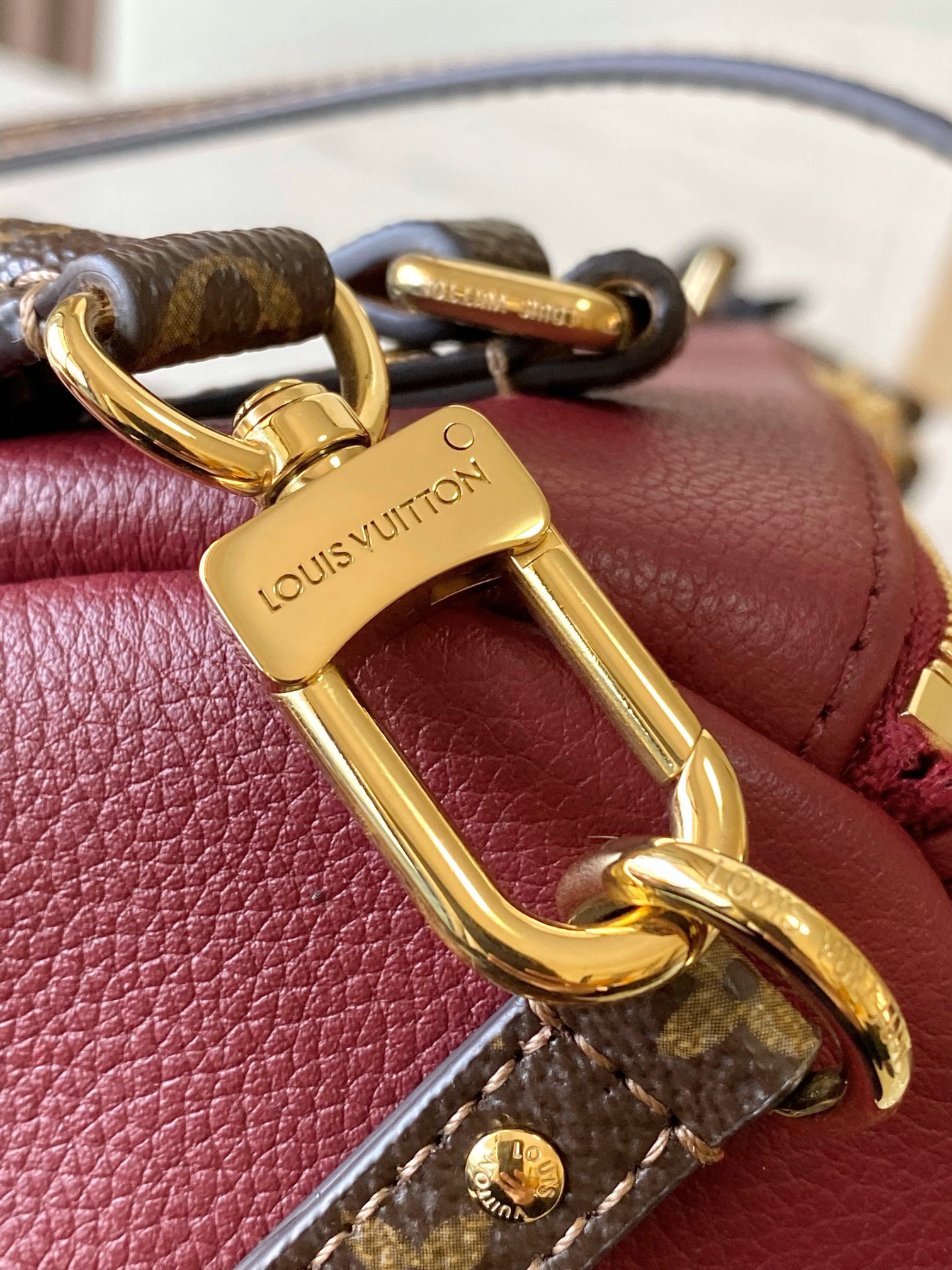 Bolso Express MM Louis Vuitton - Imagen 5