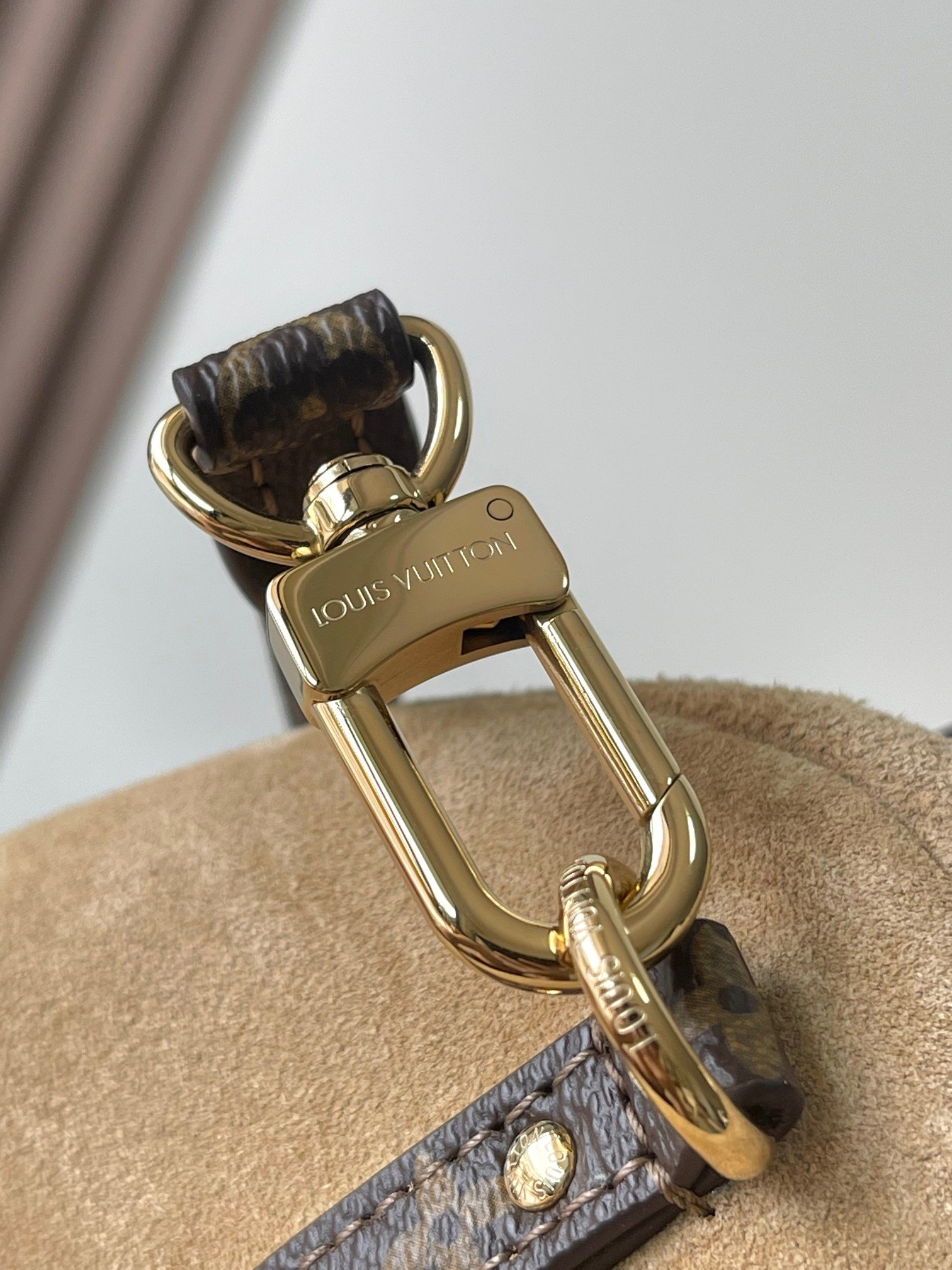 Bolso Express MM Louis Vuitton - Imagen 7