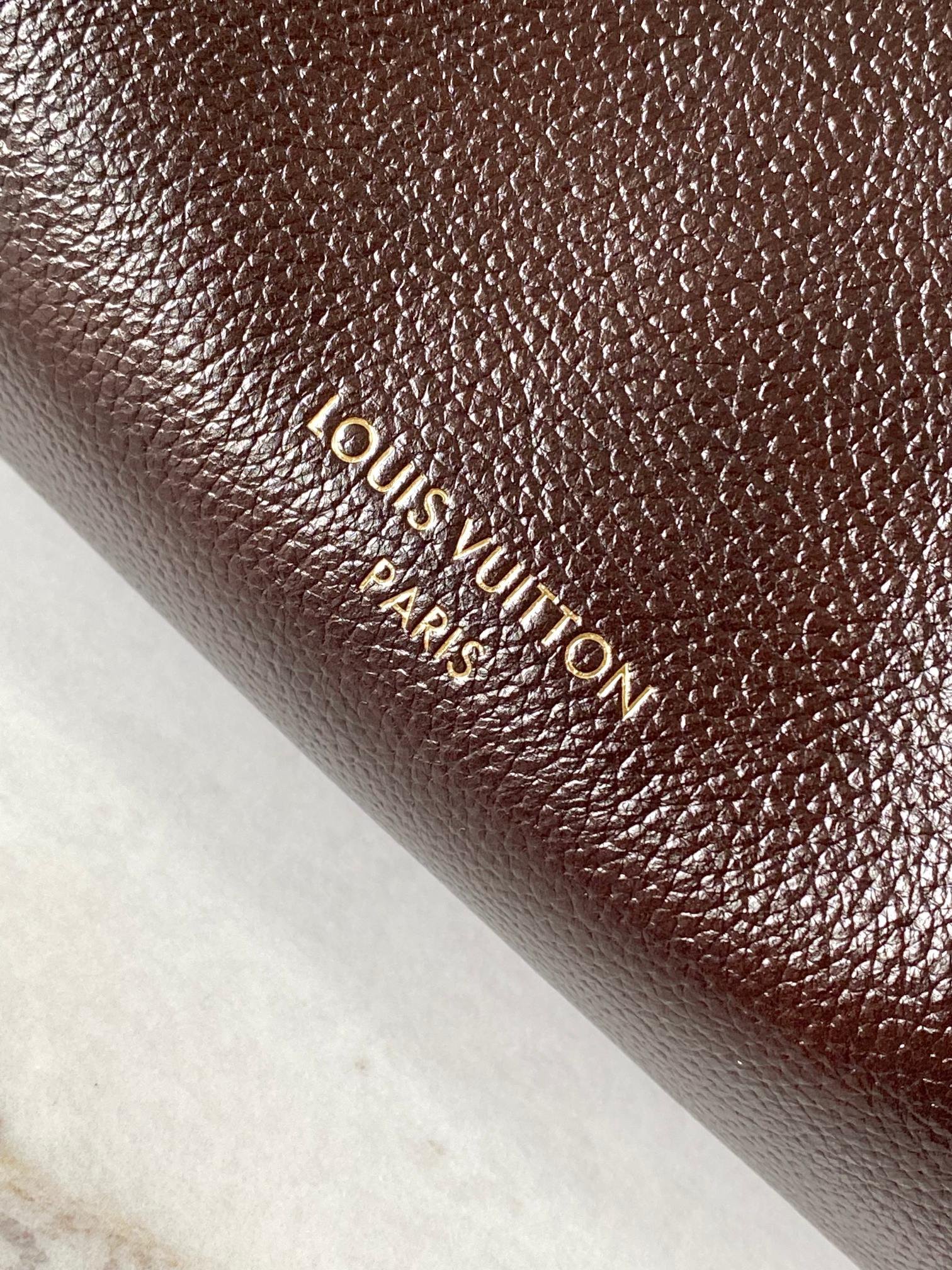 Bolso Express MM Louis Vuitton - Imagen 12