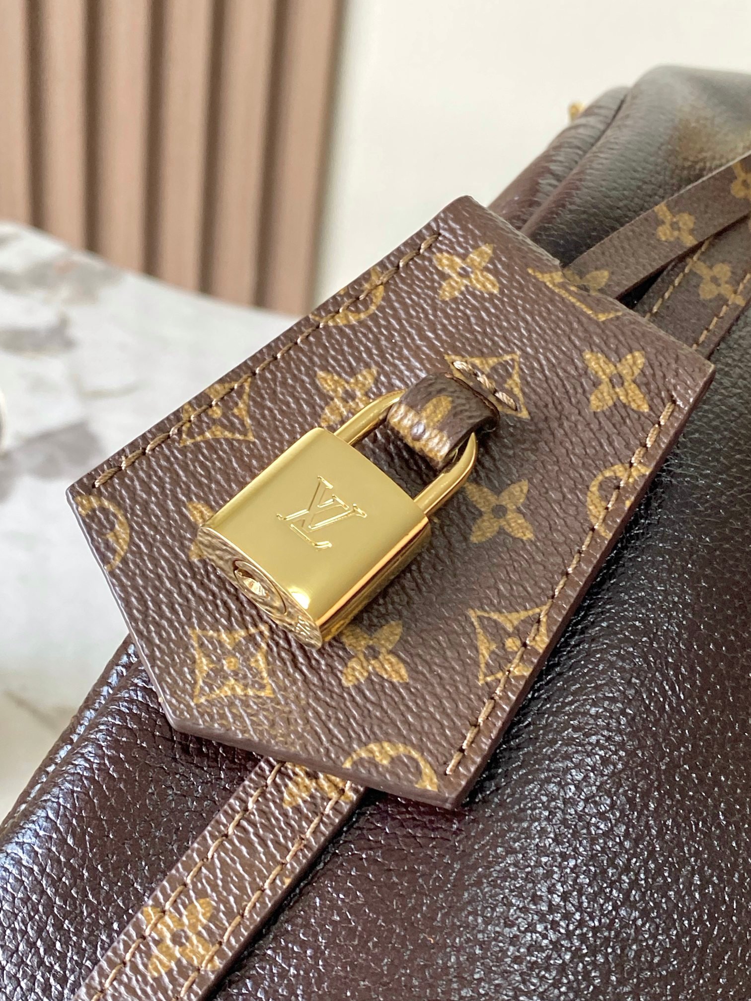 Bolso Express MM Louis Vuitton - Imagen 7