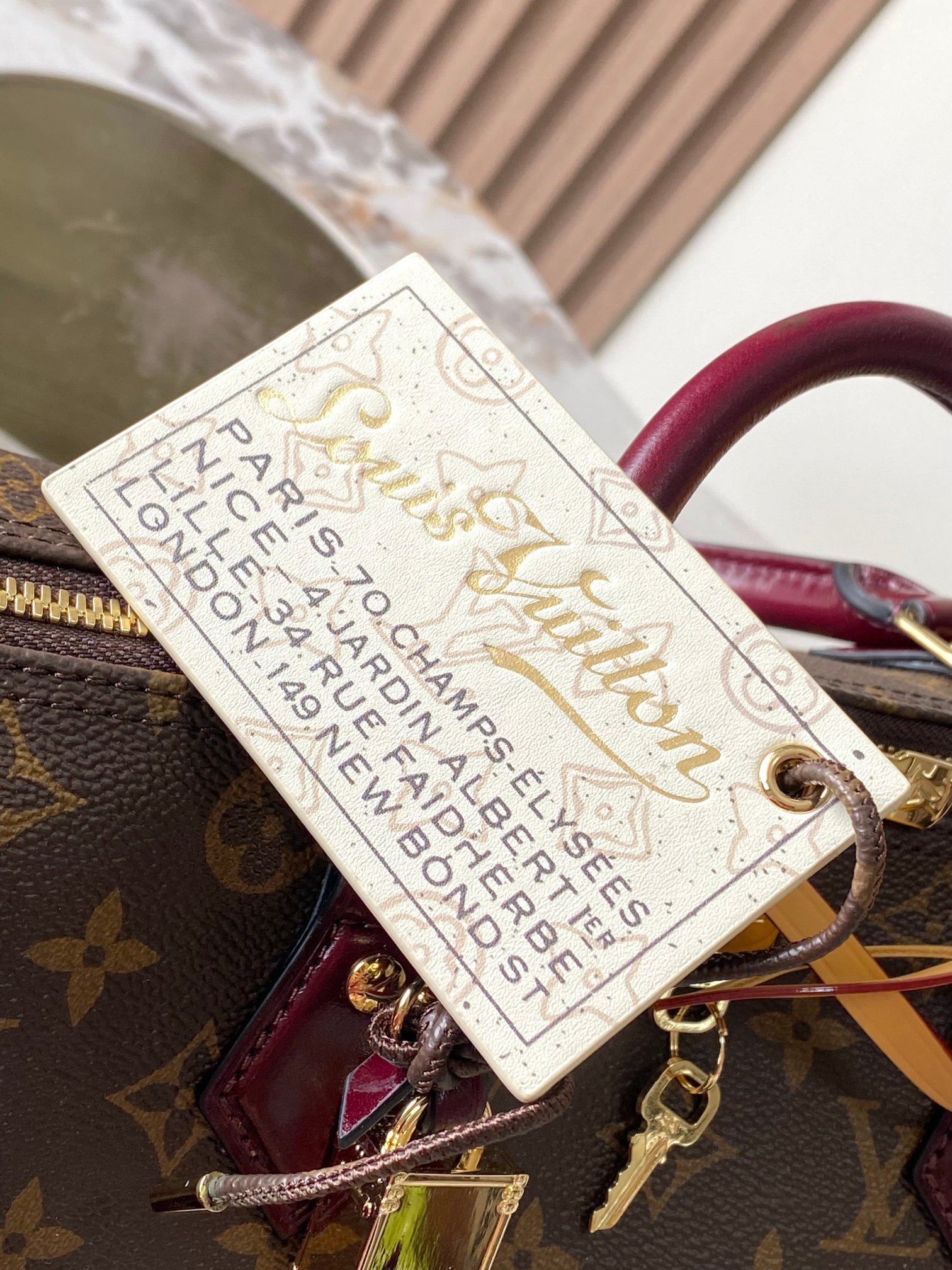 Bolso Speedy 30 Soft Celebration Louis Vuitton - Imagen 6