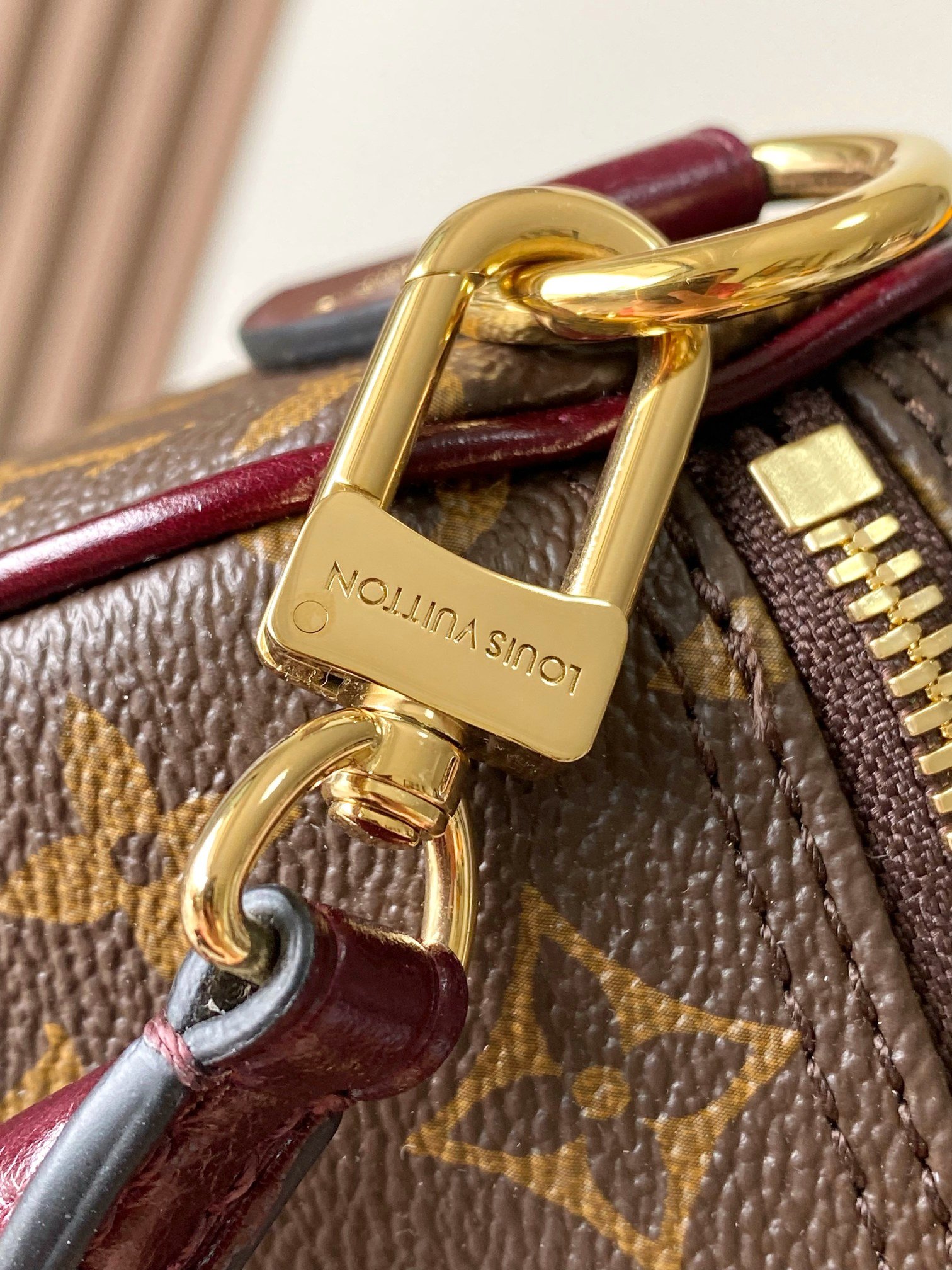 Bolso Speedy 30 Soft Celebration Louis Vuitton - Imagen 8