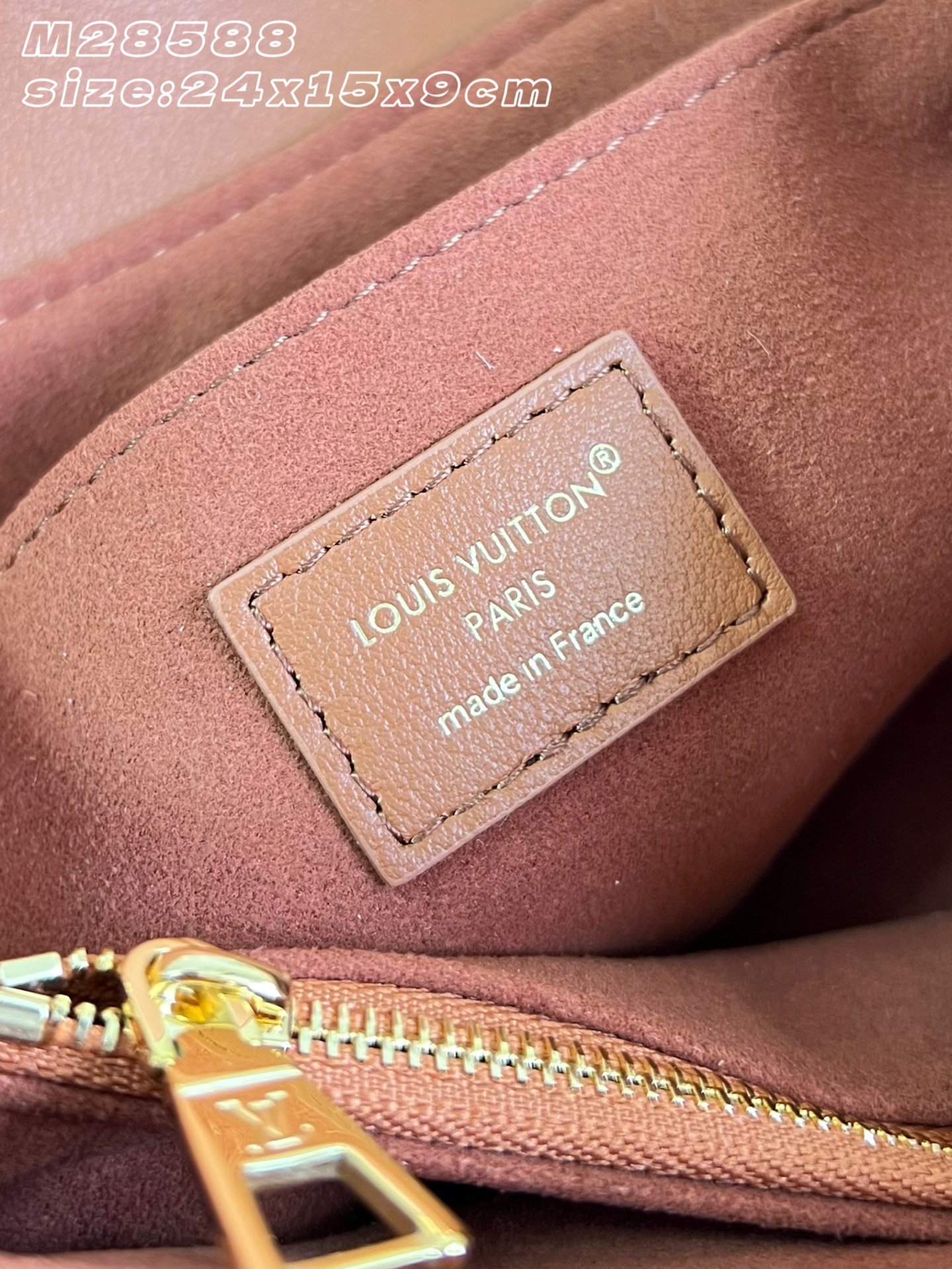 Bolso Madeleine BB Louis Vuitton - Imagen 10